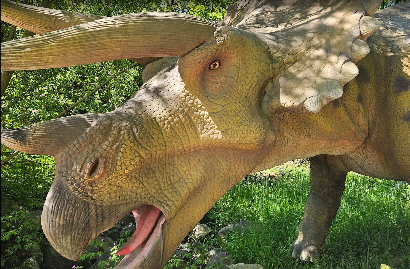 Jonge-aarde creationisme in Dinoland